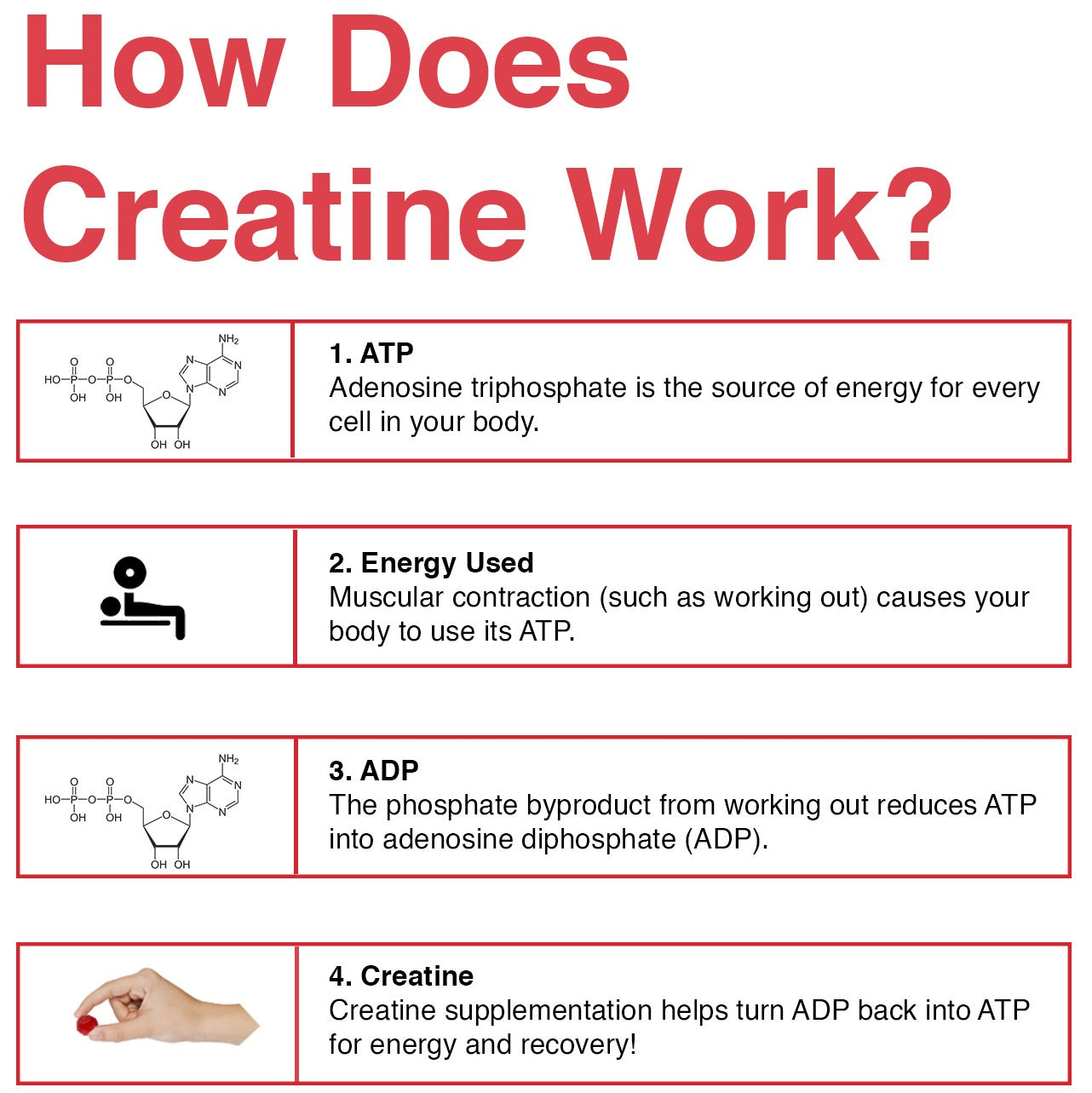 Creatine Monohydrate Gummies - (30 Serves, Strawberry Flavour)