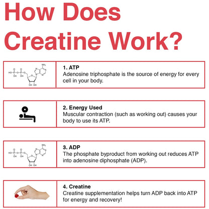 Creatine Monohydrate Gummies - (30 Serves, Strawberry Flavour)
